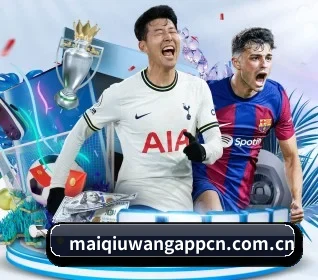 买球网 APP（maiqiuwang）