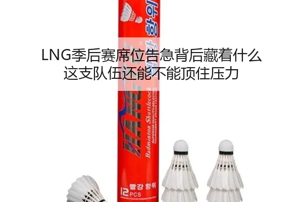 LNG季后赛席位告急背后藏着什么 这支队伍还能不能顶住压力 - maiqiuwang
