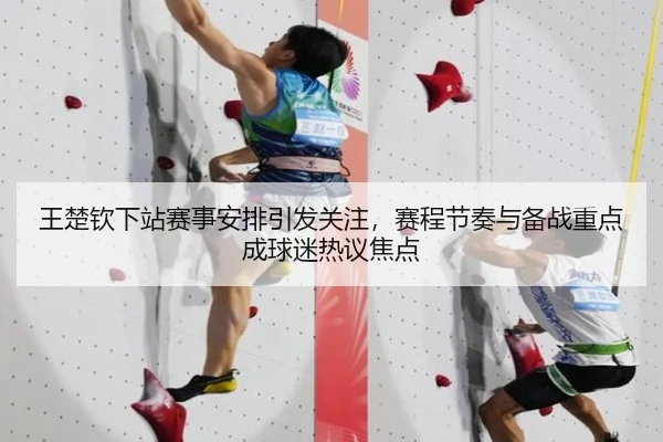 王楚钦下站赛事安排引发关注，赛程节奏与备战重点成球迷热议焦点 - maiqiuwang